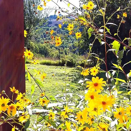 Nidastore Holidays * Arcevia