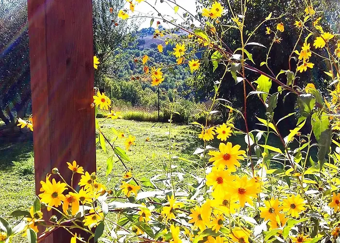 Nidastore Holidays * Arcevia